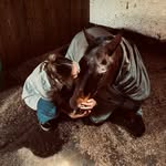𝐃𝐚𝐢𝐬𝐲 𝐀𝐦𝐨𝐬 - @daisyamos_ - Instagram
