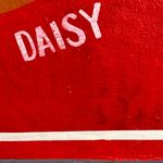 Daisy Andersen - @daisyandersen_ - Instagram