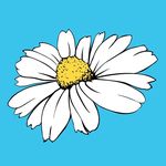 Daisy Andersen 🌿 - @daisyandersencoloring - Instagram