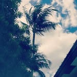 Carlos Andres - @daisyandres2020 - Instagram