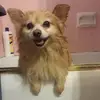🌺Beautyful Beast 🌺 - @daisyangelrose - TikTok