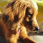 Daisy Angel Wynne - @_crazy_daisy_17 - Instagram