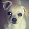 Daisy - @daisyangel52 - TikTok