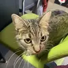 DaisyAngel - @daisyangelx3 - TikTok