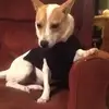 zjjsdjskxnfj - @daisyangel2009 - TikTok