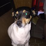 ❤️😍_Daisy_❤️😍 - @daisy_antonio_ - Instagram
