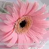 Daisy Antony - @daisyantony - TikTok