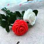 Daisy Antony Puthettu - @antonyputhettu - Instagram