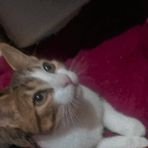 Daisy Aparicio - Facebook