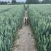 Daisy Armstrong - Facebook