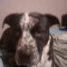 Tessie Ahrndt - Facebook