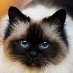 Daisy Arnold - @kitty_cat5001 - Instagram
