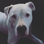 Daisy-Arnold Hess Wagner - @daisy_arnold25 - Instagram