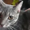 daisyash13 - @daisyash13 - TikTok