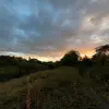 daisyashpriv - @daisyashpriv - TikTok