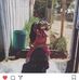 Daisy Astudillo - Facebook