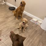 Avery+Daisy+Navy - @avery.daisy.navy - Instagram