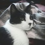 Daisy Avery - @14dbug - Instagram