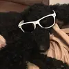 Daisy - @daisyaveryfluff - TikTok