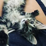 DAISYBABY - @daisybaabyyy - Instagram