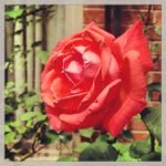 Daisy Baggett - @booterryse - Instagram