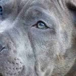 Daisy Baggett - @daisybaggett - Instagram