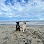 Bailey - @daisy__bailey - Instagram