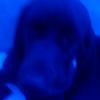 Daisy Bailey - @daizzlezzz - TikTok