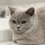 Sunny*Daisy*Bailey - @sunny_daisy_bailey - Instagram