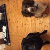 daisy Baines - @freddie_buddy_baines - TikTok