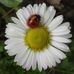 Daisy Baird - Facebook