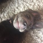 Daisy Baker - @rugby__queen581 - Instagram