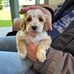 Daisy Baker - Facebook