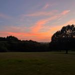 dais - @daisy_barnard - Instagram