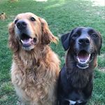 Barney__Daisy - @barney__daisy - Instagram