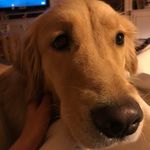 Barney & Daisy - @barney_daisy - Instagram