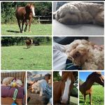 Barney+Daisy - @barneybear_daisymae - Instagram