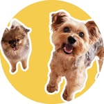 Daisy & Barney - @daisyxbarney - Instagram