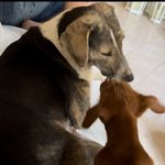 Daisy & Barney - @daisy.barney_ - Instagram