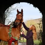 Daisy_and_Barney - @daisy_and_barns_ - Instagram