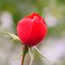 Daisy Barney - Facebook