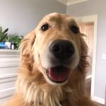 Daisy May and Barney Bear - @hi.im.daisymay - Instagram