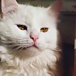 Daisy Barry - @daisybarryorg - Instagram