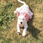 Daisy BARRAGAN - @daisybarragan2513 - Instagram
