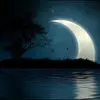 Daisy barragan gonzalez - @daisy.barragan.go - TikTok