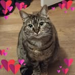 Tessa Barringer - Facebook