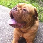 Daisy Barron - @daisy4noseoftralee - Instagram