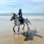 Daisy Barry - @daisybarryequestrian - Instagram