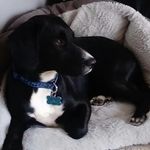 Daisy Bartholomew - @bartholomewdaisy - Instagram