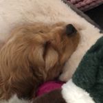 Daisybartholomew - @daisybartholomew7 - Instagram